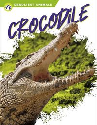 Produktbild: Crocodile