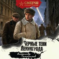 Produktbild: Chernye teni Leningrada