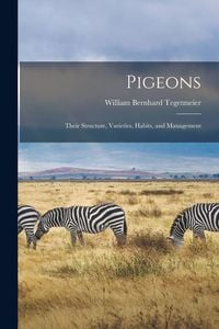 Produktbild: Pigeons