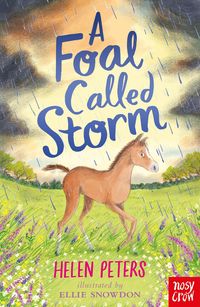 Produktbild: A Foal Called Storm