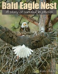 Produktbild: Bald Eagle Nest