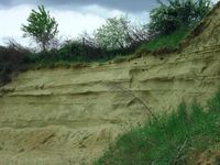 Produktbild: Einige ausgesuchte Mineralien, Gesteine und Fossilien aus S&uuml;ddeutschland