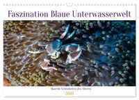 Produktbild: Faszination blaue Unterwasserwelt (Wandkalender 2026 DIN A3 quer), CALVENDO Monatskalender