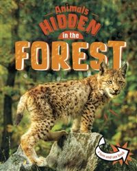 Produktbild: Rusick, J: Animals Hidden in the Forest