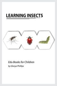 Produktbild: Learning Insects