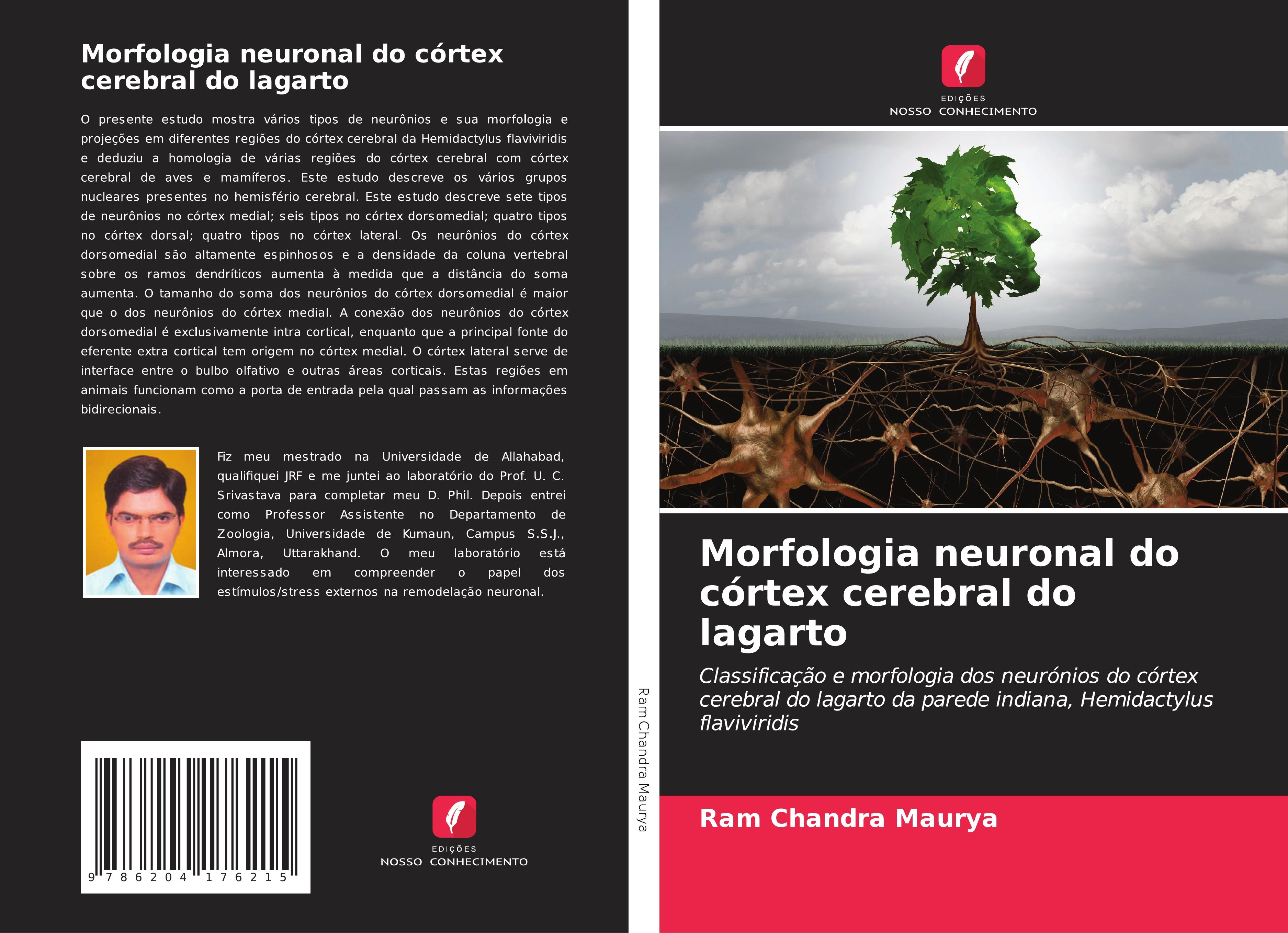 Produktbild: Morfologia neuronal do c&oacute;rtex cerebral do lagarto