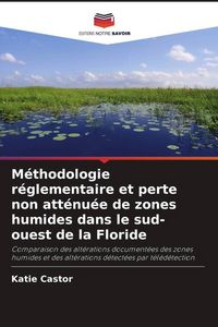 Produktbild: Castor, K: M&eacute;thodologie r&eacute;glementaire et perte non att&eacute;nu&eacute;e