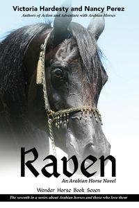 Produktbild: Raven
