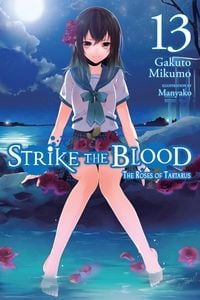 Produktbild: Strike the Blood, Vol. 13 (Light Novel)