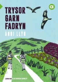 Produktbild: Cyfres Amdani: Trysor Garn Fadryn