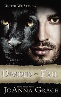 Produktbild: Divided We Fall