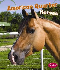 Produktbild: Amer Quarter Horses