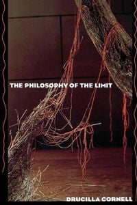 Produktbild: The Philosophy of the Limit