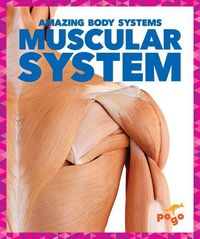 Produktbild: Muscular System