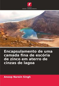 Produktbild: Encapsulamento de uma camada fina de esc&oacute;ria de zinco em aterro de cinzas de lagoa