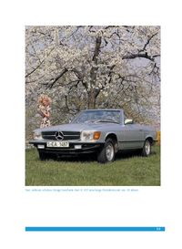 Praxisratgeber Klassikerkauf Mercedes Benz 280-560 SL & SLC' von 'Chriss  Brass' - Buch - '978-3-89880-897-2