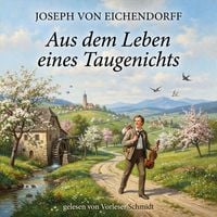 Produktbild: Aus dem Leben eines Taugenichts