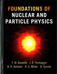 Produktbild: Foundations of Nuclear and Particle Physics