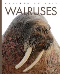 Produktbild: Walruses