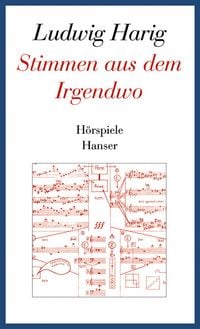 Produktbild: Stimmen aus dem Irgendwo