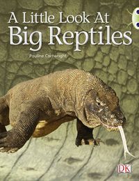 Produktbild: Bug Club Guided Non Fiction Year 1 Blue B A Little Look at Big Reptiles