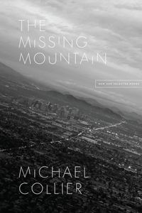 Produktbild: Missing Mountain