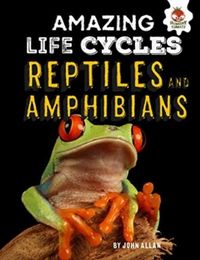 Produktbild: Reptiles and Amphibians - Amazing Life Cycles