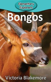Produktbild: Bongos