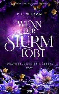 Produktbild: Wenn der Sturm tobt