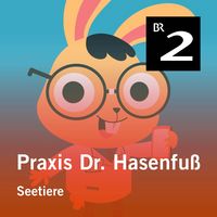 Produktbild: Praxis Dr. Hasenfu&szlig;: Seetiere