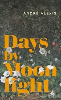 Produktbild: Days by Moonlight