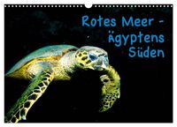 Bild vom Artikel Rotes Meer - Ägyptens Süden (Wandkalender 2024 DIN A3 quer), CALVENDO Monatskalender vom Autor Christian Suttrop