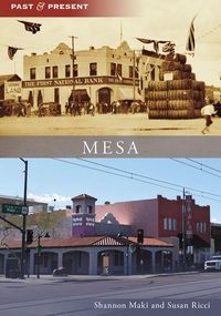 Produktbild: Mesa