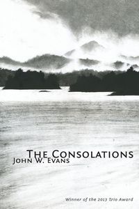 Produktbild: The Consolations