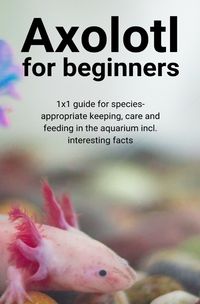 Bild vom Artikel Axolotl for beginners vom Autor Thorsten Hawk