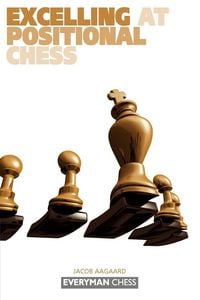 Produktbild: Excelling at Positional Chess