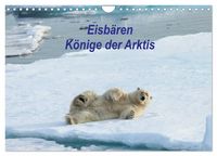 Produktbild: Eisb&auml;ren - K&ouml;nige der Arktis (Wandkalender 2026 DIN A4 quer), CALVENDO Monatskalender