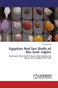 Produktbild: Egyptian Red Sea Shells of Ras Sudr region