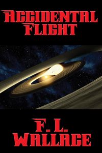 Produktbild: Accidental Flight