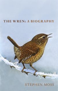 Bild vom Artikel The Wren vom Autor Stephen Moss