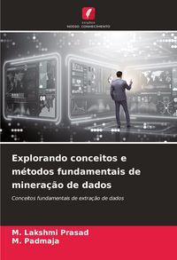 Produktbild: Explorando conceitos e m&eacute;todos fundamentais de minera&ccedil;&atilde;o de dados