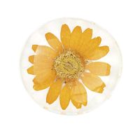 Produktbild: R&auml;der Flower Power Magnet