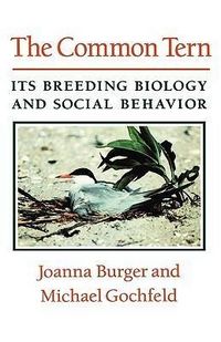 Produktbild: Commo Common Tern