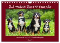 Produktbild: Schweizer Sennenhunde - die Hunde aus den Schweizer Alpen (Wandkalender 2027 DIN A4 quer), CALVENDO Monatskalender