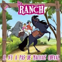 Produktbild: Il n'y a pas de mauvais cheval