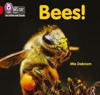 Produktbild: Bees!