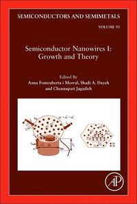 Produktbild: Semiconductor Nanowires I: Growth and Theory