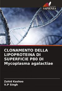 Produktbild: Clonamento Della Lipoproteina Di Superficie P80 Di Mycoplasma Agalactiae