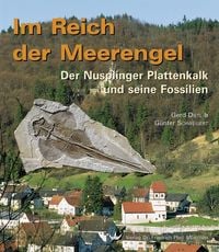 Produktbild: Im Reich der Meerengel