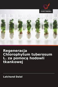 Produktbild: Regeneracja Chlorophytum tuberosum L. za pomoc&iquest; hodowli tkankowej